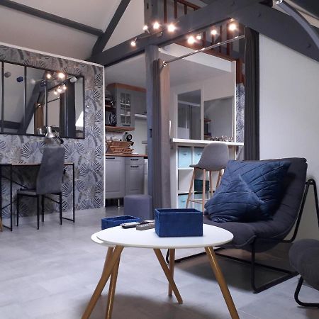 Loft Haut De Gamme Centre Montargis, Place De Parking, Local A Velos, Linge De Lits Et Serviettes, Coin Riviere Amenage, Hamac, Epicerie, Velos En Option, Tout Confort Jusqu'A 4 Voyageurs 외부 사진