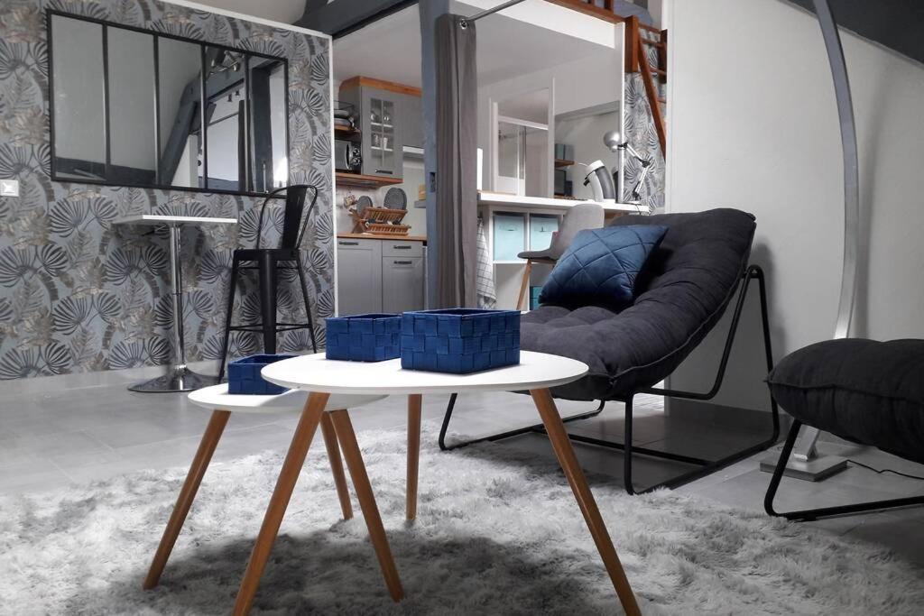 Loft Haut De Gamme Centre Montargis, Place De Parking, Local A Velos, Linge De Lits Et Serviettes, Coin Riviere Amenage, Hamac, Epicerie, Velos En Option, Tout Confort Jusqu'A 4 Voyageurs 외부 사진