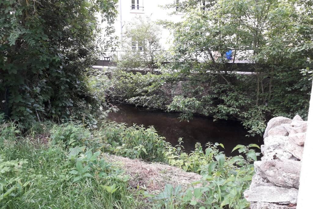 Loft Haut De Gamme Centre Montargis, Place De Parking, Local A Velos, Linge De Lits Et Serviettes, Coin Riviere Amenage, Hamac, Epicerie, Velos En Option, Tout Confort Jusqu'A 4 Voyageurs 외부 사진