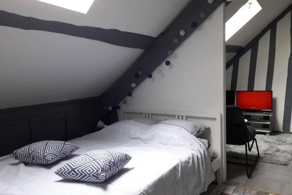 Loft Haut De Gamme Centre Montargis, Place De Parking, Local A Velos, Linge De Lits Et Serviettes, Coin Riviere Amenage, Hamac, Epicerie, Velos En Option, Tout Confort Jusqu'A 4 Voyageurs 외부 사진