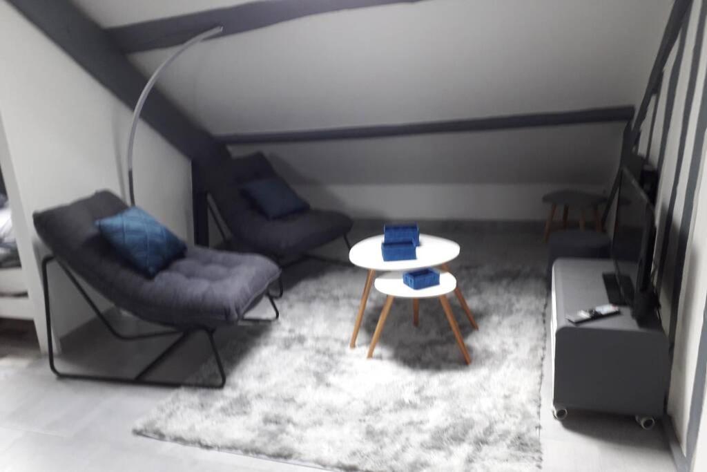 Loft Haut De Gamme Centre Montargis, Place De Parking, Local A Velos, Linge De Lits Et Serviettes, Coin Riviere Amenage, Hamac, Epicerie, Velos En Option, Tout Confort Jusqu'A 4 Voyageurs 외부 사진