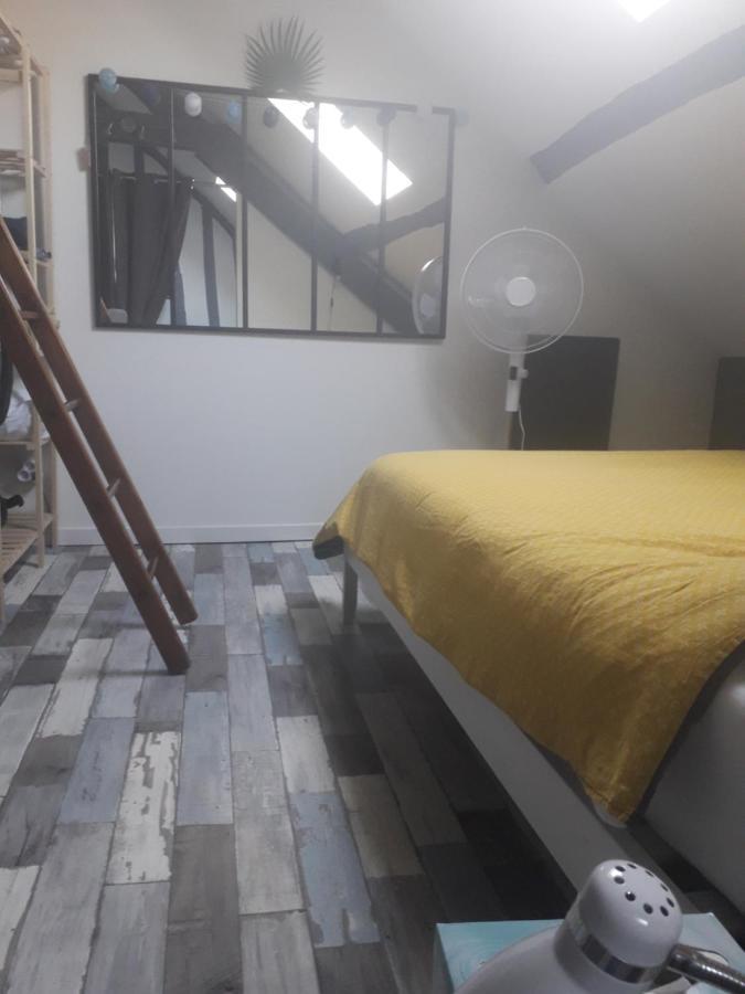 Loft Haut De Gamme Centre Montargis, Place De Parking, Local A Velos, Linge De Lits Et Serviettes, Coin Riviere Amenage, Hamac, Epicerie, Velos En Option, Tout Confort Jusqu'A 4 Voyageurs 외부 사진