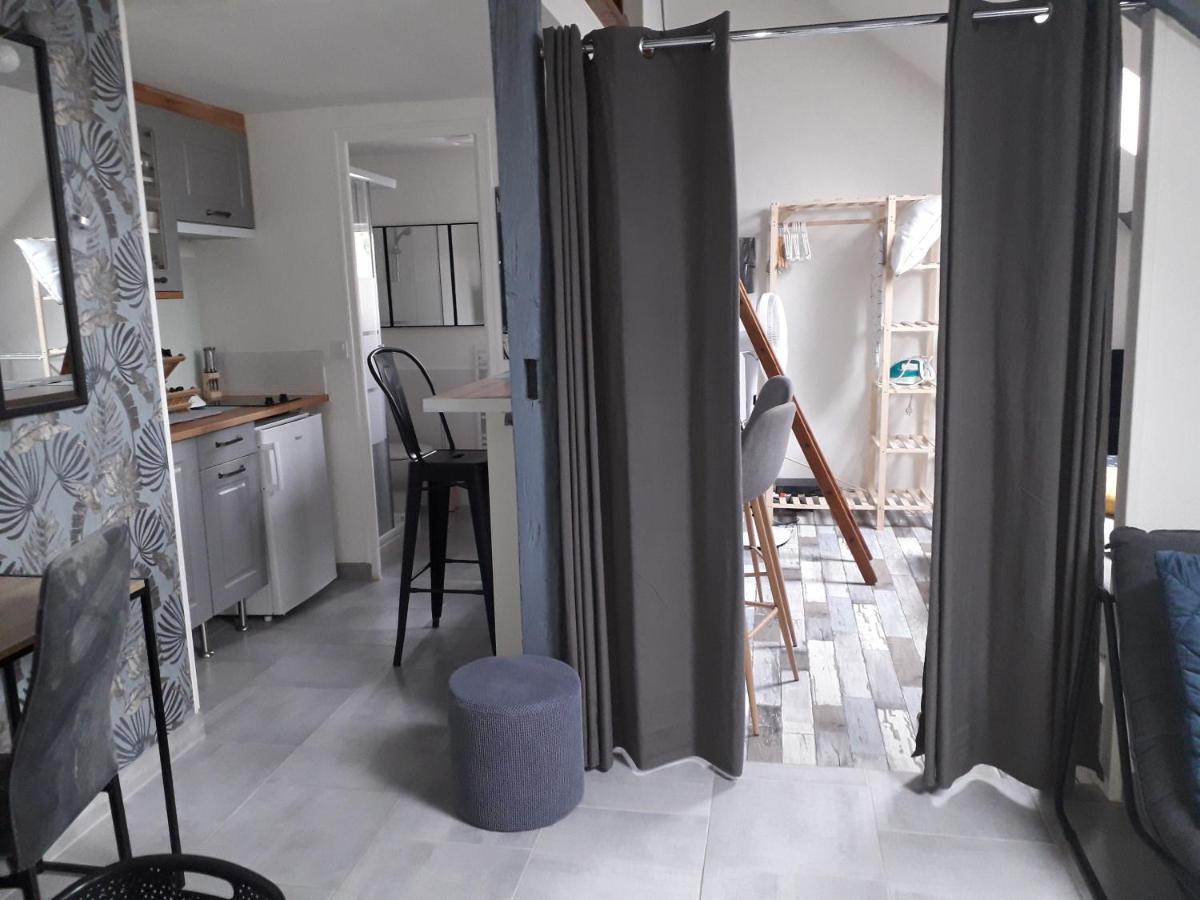 Loft Haut De Gamme Centre Montargis, Place De Parking, Local A Velos, Linge De Lits Et Serviettes, Coin Riviere Amenage, Hamac, Epicerie, Velos En Option, Tout Confort Jusqu'A 4 Voyageurs 외부 사진