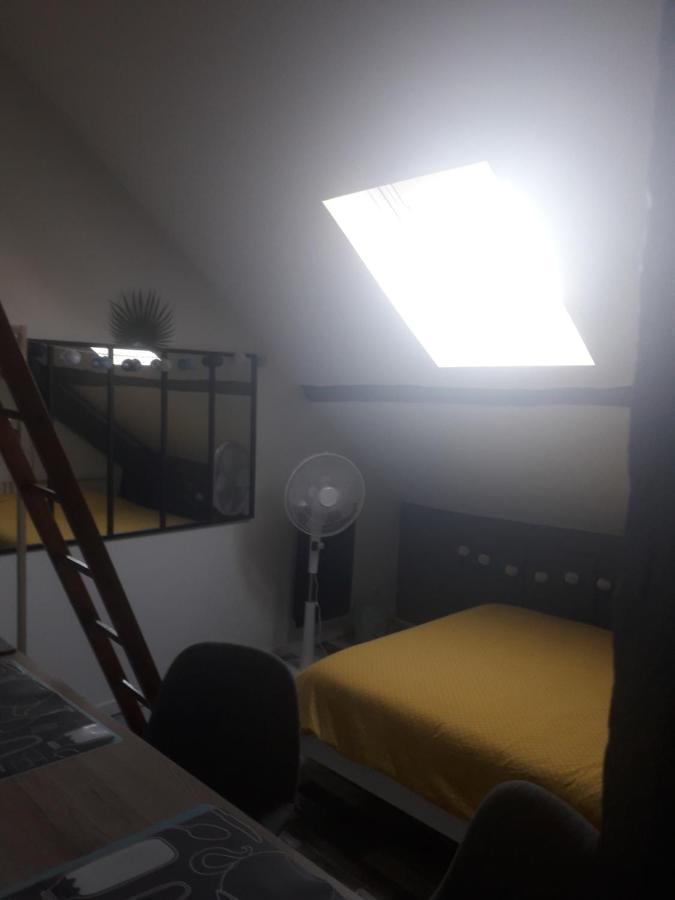 Loft Haut De Gamme Centre Montargis, Place De Parking, Local A Velos, Linge De Lits Et Serviettes, Coin Riviere Amenage, Hamac, Epicerie, Velos En Option, Tout Confort Jusqu'A 4 Voyageurs 외부 사진