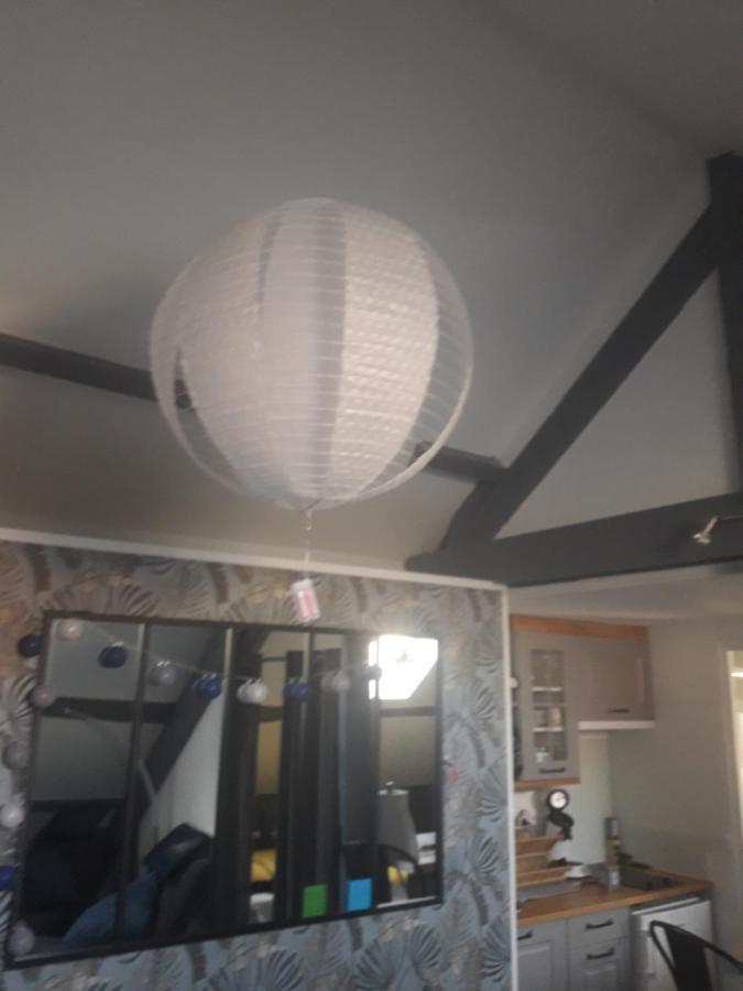 Loft Haut De Gamme Centre Montargis, Place De Parking, Local A Velos, Linge De Lits Et Serviettes, Coin Riviere Amenage, Hamac, Epicerie, Velos En Option, Tout Confort Jusqu'A 4 Voyageurs 외부 사진