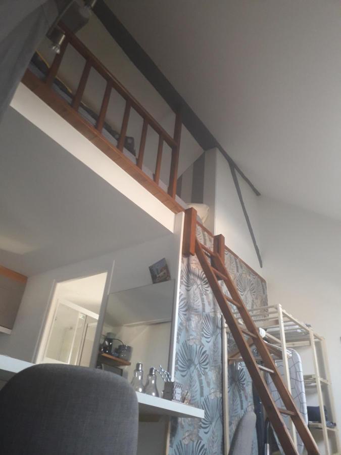 Loft Haut De Gamme Centre Montargis, Place De Parking, Local A Velos, Linge De Lits Et Serviettes, Coin Riviere Amenage, Hamac, Epicerie, Velos En Option, Tout Confort Jusqu'A 4 Voyageurs 외부 사진