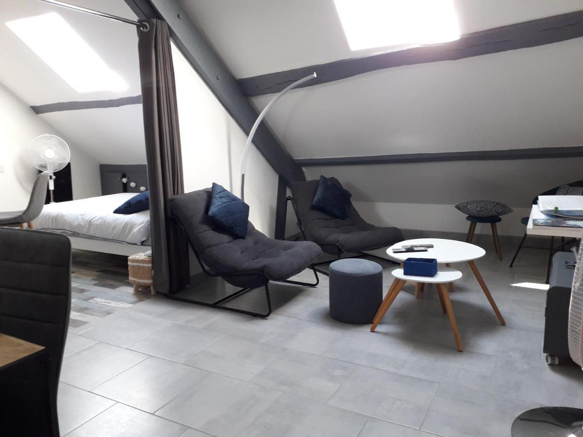 Loft Haut De Gamme Centre Montargis, Place De Parking, Local A Velos, Linge De Lits Et Serviettes, Coin Riviere Amenage, Hamac, Epicerie, Velos En Option, Tout Confort Jusqu'A 4 Voyageurs 외부 사진