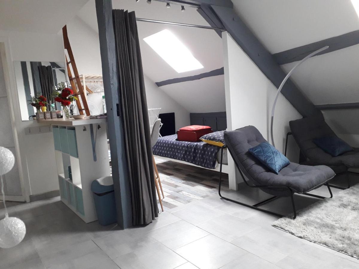 Loft Haut De Gamme Centre Montargis, Place De Parking, Local A Velos, Linge De Lits Et Serviettes, Coin Riviere Amenage, Hamac, Epicerie, Velos En Option, Tout Confort Jusqu'A 4 Voyageurs 외부 사진