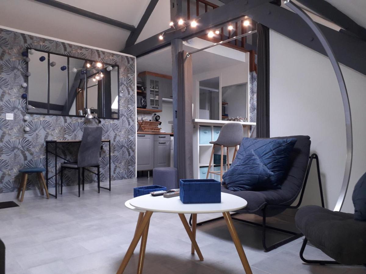 Loft Haut De Gamme Centre Montargis, Place De Parking, Local A Velos, Linge De Lits Et Serviettes, Coin Riviere Amenage, Hamac, Epicerie, Velos En Option, Tout Confort Jusqu'A 4 Voyageurs 외부 사진